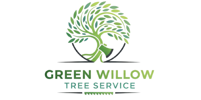 screenshot 2026 01 16 at 10.21.00 removebg preview