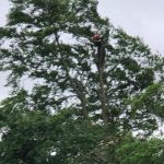 15535128 e56b 40b9 89cd e431cf143bf7