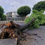 20230819 073357 2880w