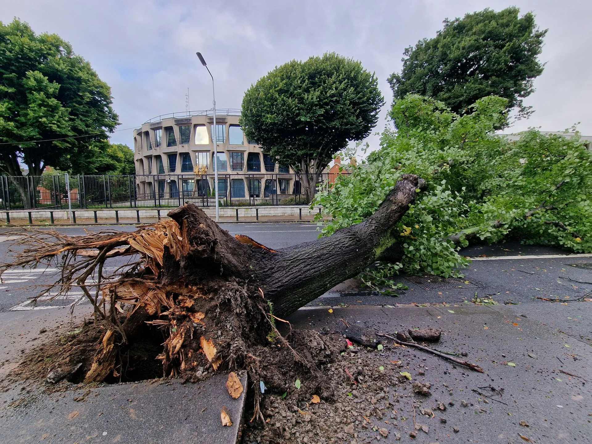 20230819 073357 2880w