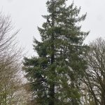 294d9740 e532 4b0f 80fc 68e328a9e625