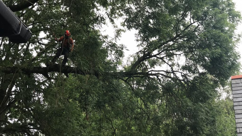 318029ab fe18 438e 8874 b0ed43549f0f