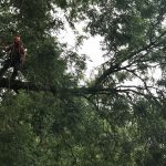 318029ab fe18 438e 8874 b0ed43549f0f