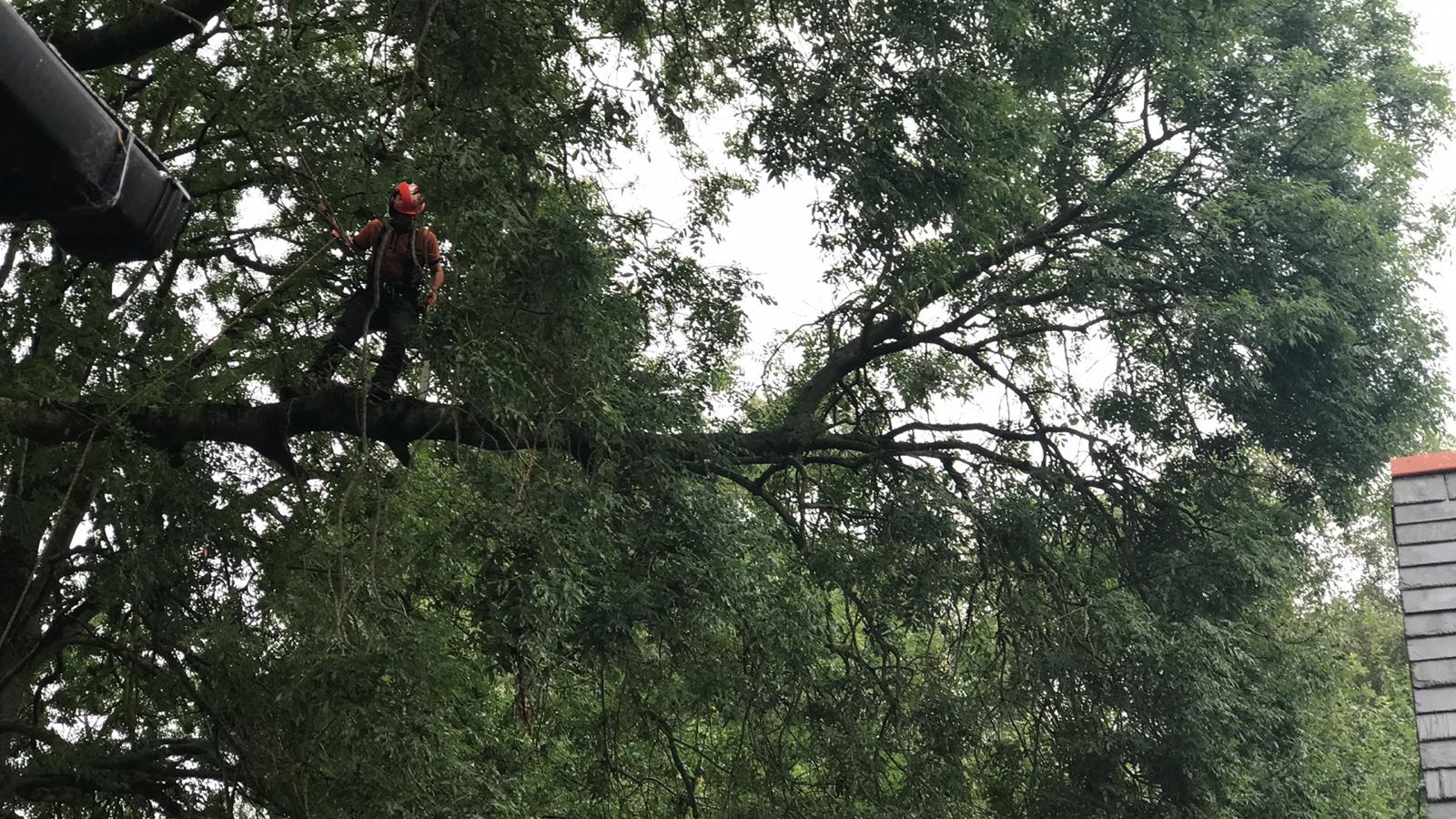 318029ab fe18 438e 8874 b0ed43549f0f