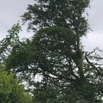 3631457d 11b3 4fc9 ab9a 448f0d98d5dc