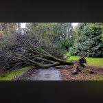 441ce055 7eff 43d7 8a32 ae974317131f