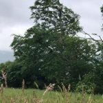 46cfbf95 f8f0 4f2f aff7 ece78f1e42c0