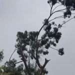 7b85bc9b 0743 44c0 90c2 3aa05237945c