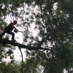 7f7d689c e4ca 464a a4eb 229fa9e6635e