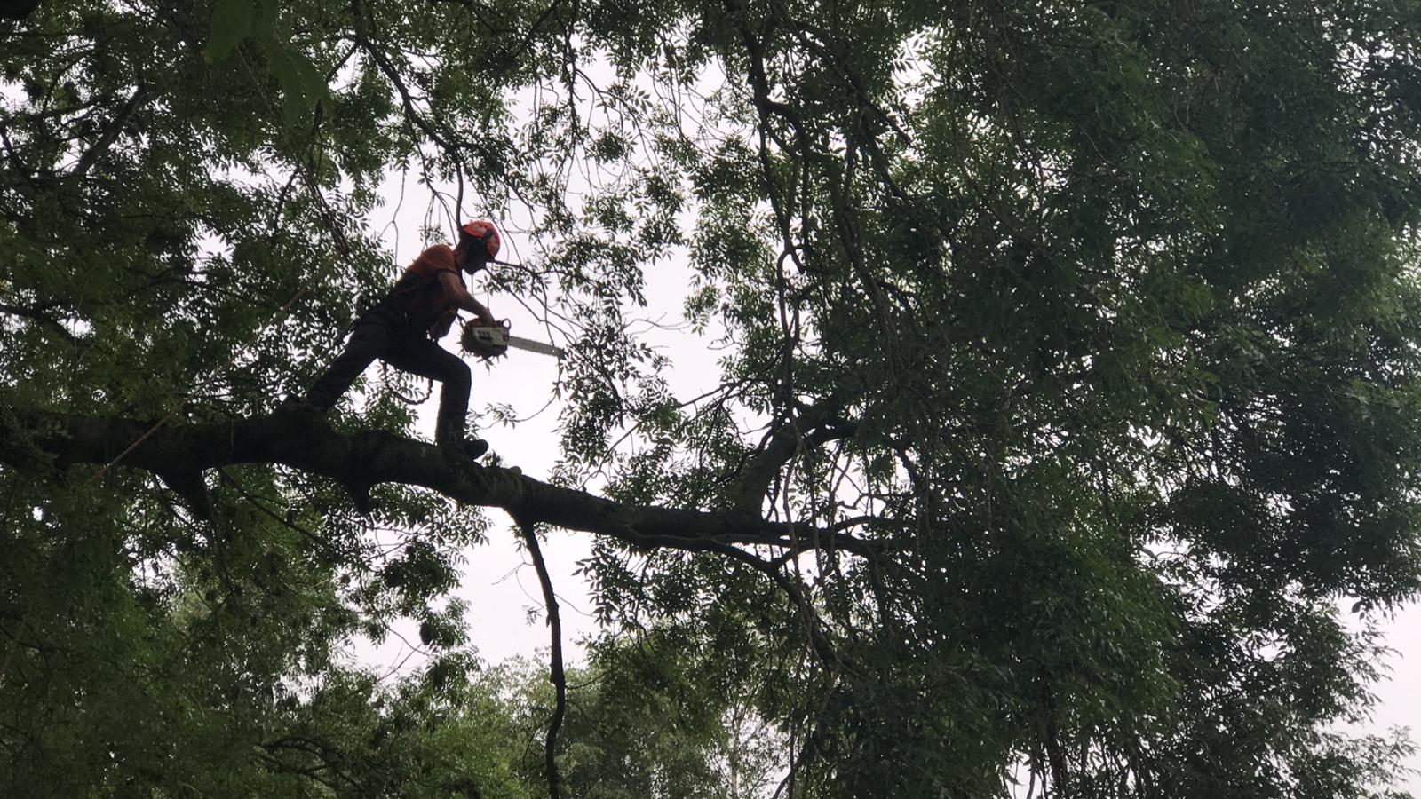 7f7d689c e4ca 464a a4eb 229fa9e6635e