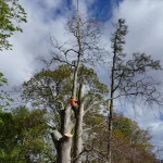 dji 20240415100752 0028 d exported 25959 2880w