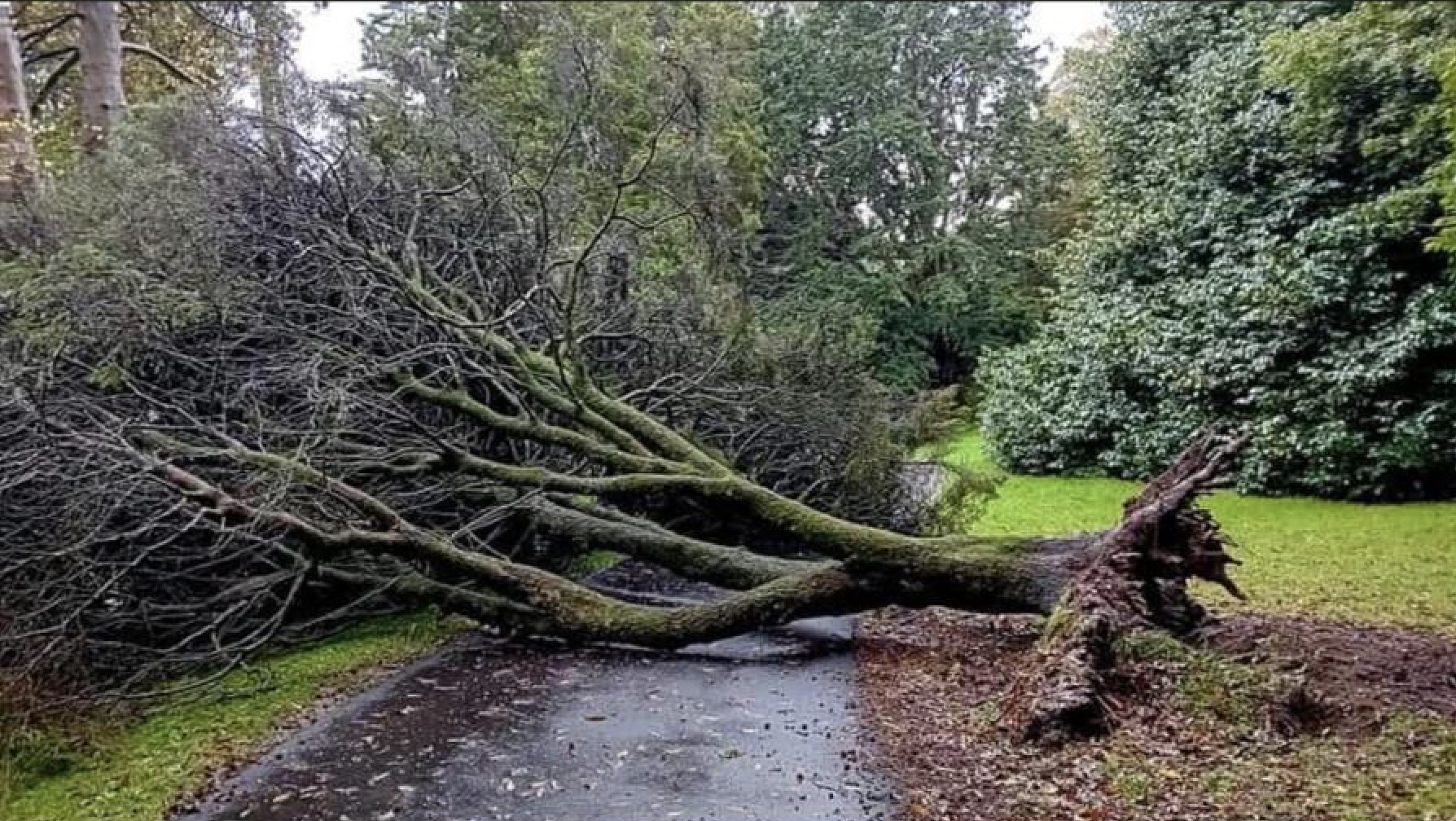 screenshot 2026 01 16 at 22.25.20