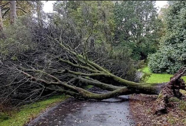 screenshot 2026 01 17 at 10.02.25