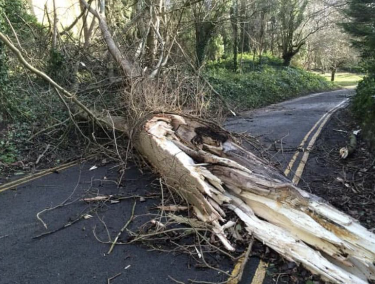 screenshot 2026 01 17 at 11.04.59