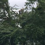 af2e3ed0 a09e 4853 80c5 05b0f7802e2b