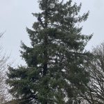 b0389e38 21ca 4a8a 993f 88cbefd1e4d3