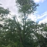 b07bff64 3a07 423a 840b 3a95f1ba5359