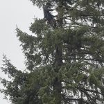 bb3cde19 23b6 441a abef 14cac5c8e3e0