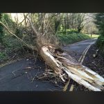 d1efa2a4 a66d 4576 b224 f73f536491f5