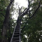 d3347cd8 01cc 46e5 a8f8 54e0599cae6d