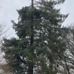 dafa10e6 0fdd 49b2 bb8a f53ee5864dc6