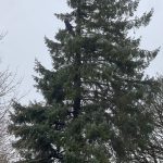 ede74f34 d374 4ca0 8946 eefae6330f61