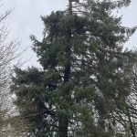 f603c9b0 ede5 4447 acbb e871231b3028